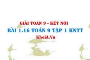 Bài 1.16 SGK Toán 9 tập 1 Kết nối tri thức